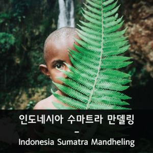 인도네시아 만델링